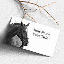 Search for horse business cards Horseback riding