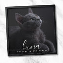 Search for pet memorial posters Tribute