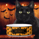 Search for cat bowls Create your own