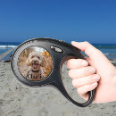 Search for cat leashes Pet