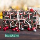 Search for griffon dog breed Pets