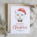 Search for british christmas cards British shorthair cat