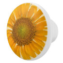 Search for sunflower knobs and pulls Nature