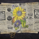 Search for farmhouse tissue paper Botanical
