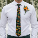 Search for bird of paradise ties Pattern
