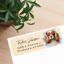 Search for cavalier king charles spaniel return address labels Animal lover