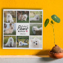 Search for pet collage canvas prints Simple