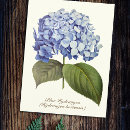 Search for vintage botanical postcards Stylish