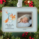 Search for fox gifts Forest