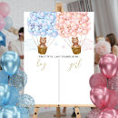 Search for cute teddy bear posters Boy or girl