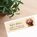 Search for goldendoodle return address labels Pet