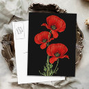 Search for vintage botanical postcards Red