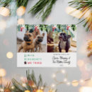 Search for naughty dog cards Cat