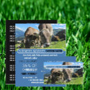 Search for dairy farm business cards Cheese
