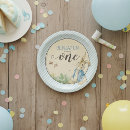 Search for peter rabbit paper plates Baby's first birthday
