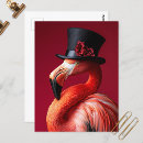 Search for flamingo postcards Funny