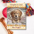 Search for on your new puppy congratulations cards Congrats