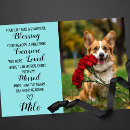 Search for pet sympathy cards Rainbow bridge
