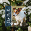 Search for plaid ornaments Cat