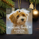 Search for tribute pet memorials Forever loved