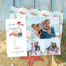 Search for pink flamingo christmas cards Coastal