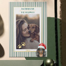 Search for dog puns holiday cards Dachshund through the snow