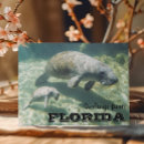 Search for baby postcards Manatee
