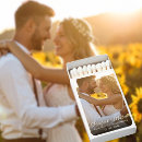 Search for sunflower lighters Elegant