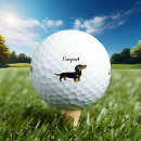 Search for dachshund golf balls Doxie