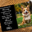 Search for pet sympathy cards Rainbow bridge