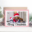 Search for dog cat christmas cards Script