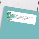 Search for turtle labels Coastal