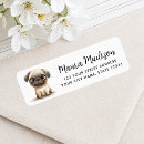 Search for pug return address labels Cute