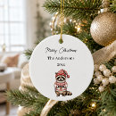 Search for raccoon ornaments Xmas