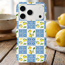 Search for mediterranean tile iphone cases Elegant