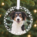 Search for commemorative gifts For pets