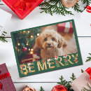 Search for dog photo christmas cards Green