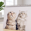 Search for calendars planners Cute