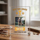 Search for funny dog awards Dogs