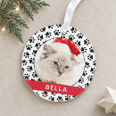 Search for cat picture ornaments For pets