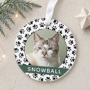 Search for brown tabby cat ornaments For pets