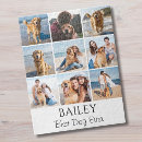 Search for dog puzzles Animal
