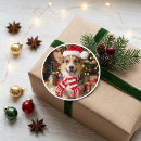 Search for corgi stickers Pembroke welsh corgi