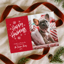 Search for pet christmas cards Howlidays