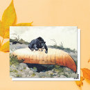 Search for bear postcards wildlife