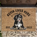 Search for havanese gifts pets