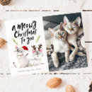 Search for meowy christmas cards Cute