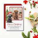 Search for poodle christmas cards Cute