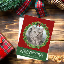 Search for cute postcards Merry christmas