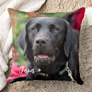 Search for dog face pillows Labrador retriever